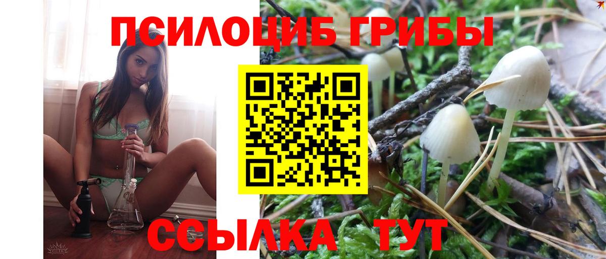 Оренбург  Псилоцибиновые грибы Psilocybine cubensis  Вход с VPN  Псилоцибиновые грибы Cubensis 