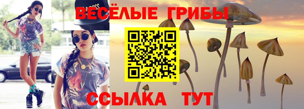 Псилоцибиновые грибы GOLDEN TEACHER Оренбург